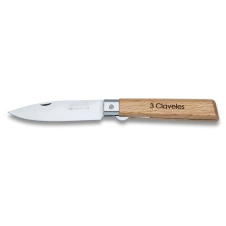 Pocket knife with tip and blade lock