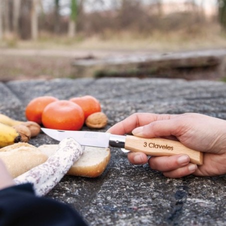 Pocket knife with blade lock