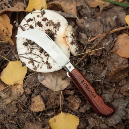 Harvest and mushroom pocket knife with blade lock