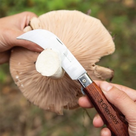 Harvest and mushroom pocket knife with blade lock