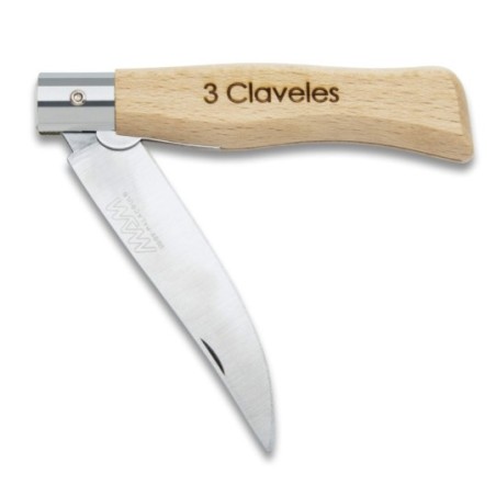Pocket Knife with blade lock