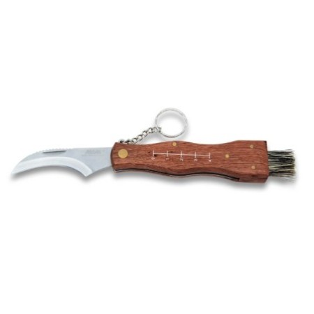Mushroom pocket knife with brush, metric scale and pouch