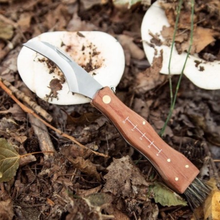 Couteau de poche pour champignons avec brosse, règle et housse