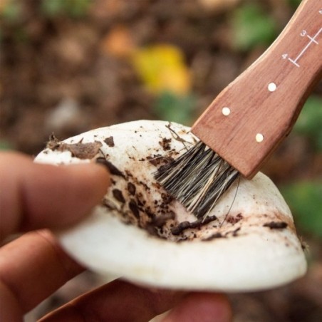 Couteau de poche pour champignons avec brosse, règle et housse