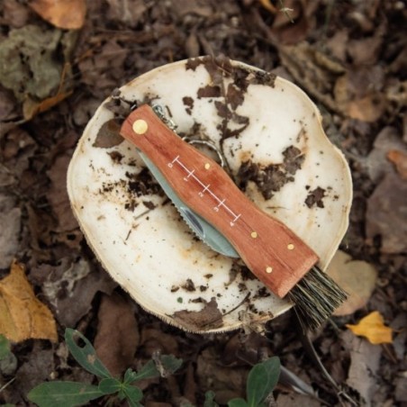 Couteau de poche pour champignons avec brosse, règle et housse