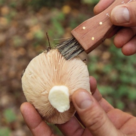 Couteau de poche pour champignons avec brosse, règle et housse