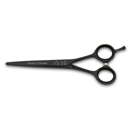 Titanium Hairdressing Scissors