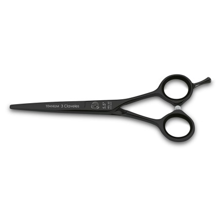 Titanium Hairdressing Scissors Titanium Hairdressing Scissors