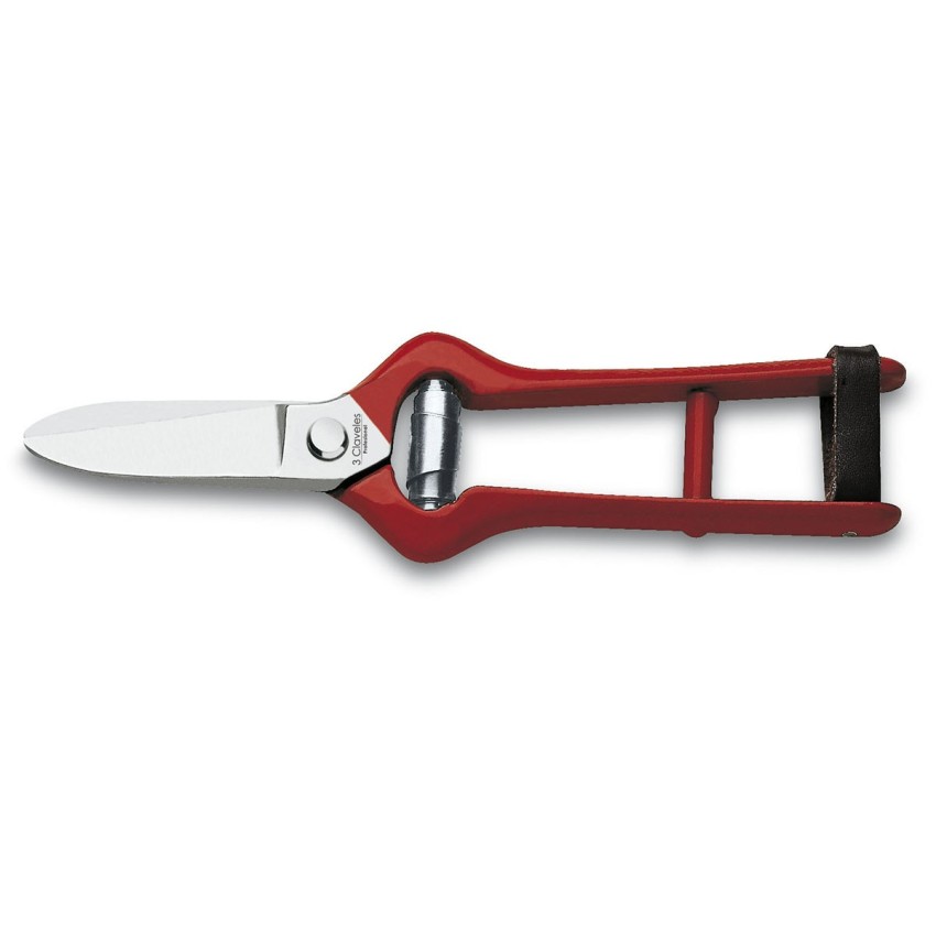 Grape Harvest Shears