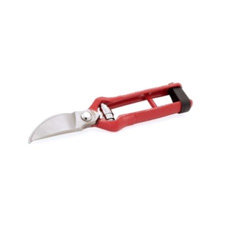 Pruning Shears