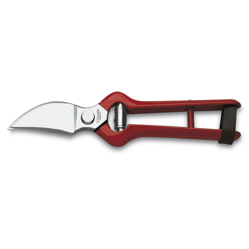 Pruning Shears