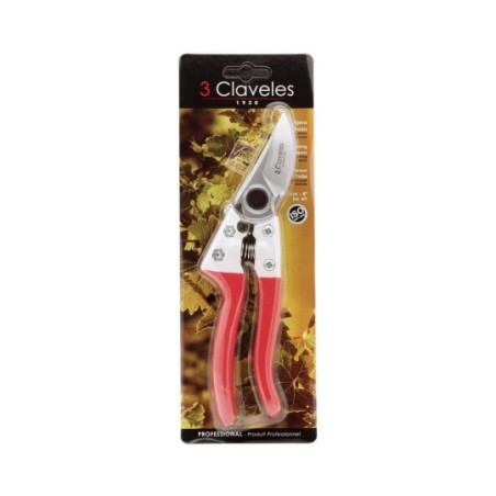Ciseaux Tailler Professionelle