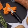 Couteau à Éplucheur Evo