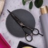Ciseaux Coiffure Titanium Ciseaux Coiffure Titanium