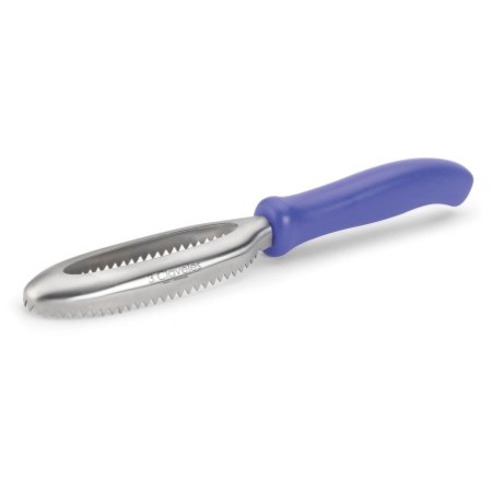 Stainless Professional Fish Scaler
