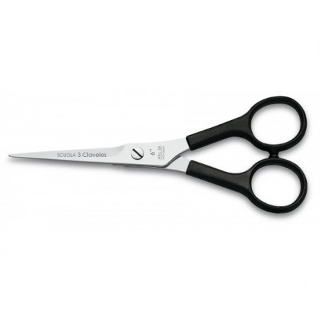 Scuola Hairdressing Scissors