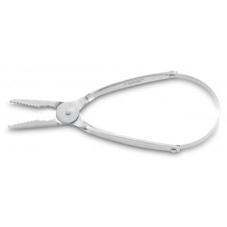 Pinza Pequeños Mariscos con Muelle Pinza Pequeños Mariscos con Muelle