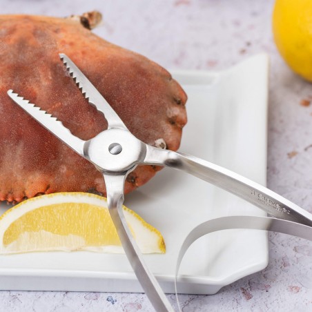 Pinza Pequeños Mariscos con Muelle