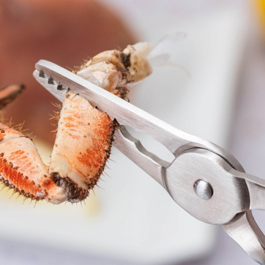 Pinza Pequeños Mariscos con Muelle Pinza Pequeños Mariscos con Muelle