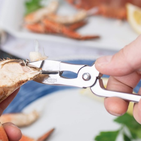 Corta Mariscos Forjado Muelle y Anclaje