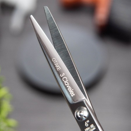 Otake Hairdressing Scissors