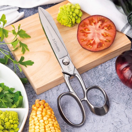 Professional Kitchen Shears