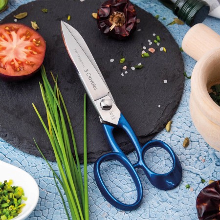 Professional Kitchen Shears...