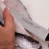 Cuchillo Filetear Pescado Uniblock Cuchillo Filetear Pescado Uniblock