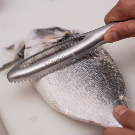 Quita_Escamas_Profesional_Inox