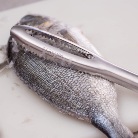 Stainless Professional Fish...