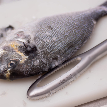 Quita_Escamas_Profesional_Inox