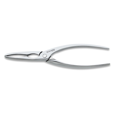 Forged Fish Cutter