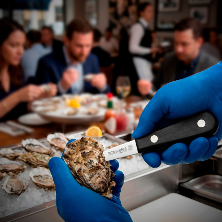 Oyster Knife