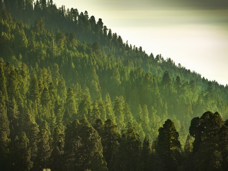iStock-183415136.jpg