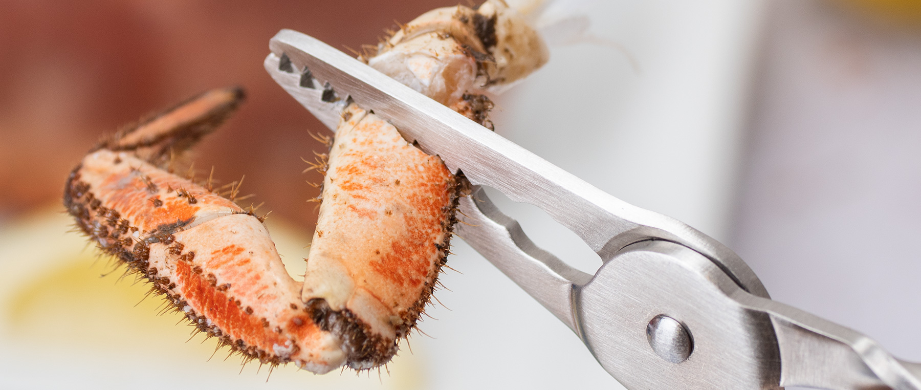Pinza Pequeños Mariscos con Muelle - 3 Claveles