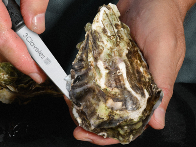 Cómo se abre una ostra: Trucos y recomendaciones